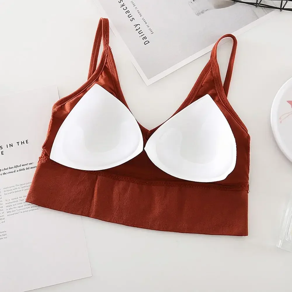 Women Fitness Top Sports Bra 2024 Seamless Yoga Bra Black White Running Yoga Gym Crop Top Women Push Up Sport Bra Top Women Fitness Top Sports Bra 2024 Seamless Yoga Bra Black White Running Yoga Gym Crop Top Women Push Up Sport Bra Top