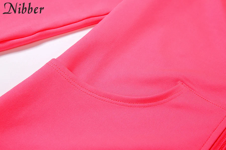 Nibber Sporty Casual Long Sleeve Hooded Zipper Solid two pieces set women Autumn Workout Skinny Top And Pants Matching Set mujer Nibber Sporty Casual Long Sleeve Hooded Zipper Solid two pieces set women Autumn Workout Skinny Top And Pants Matching Set mujer