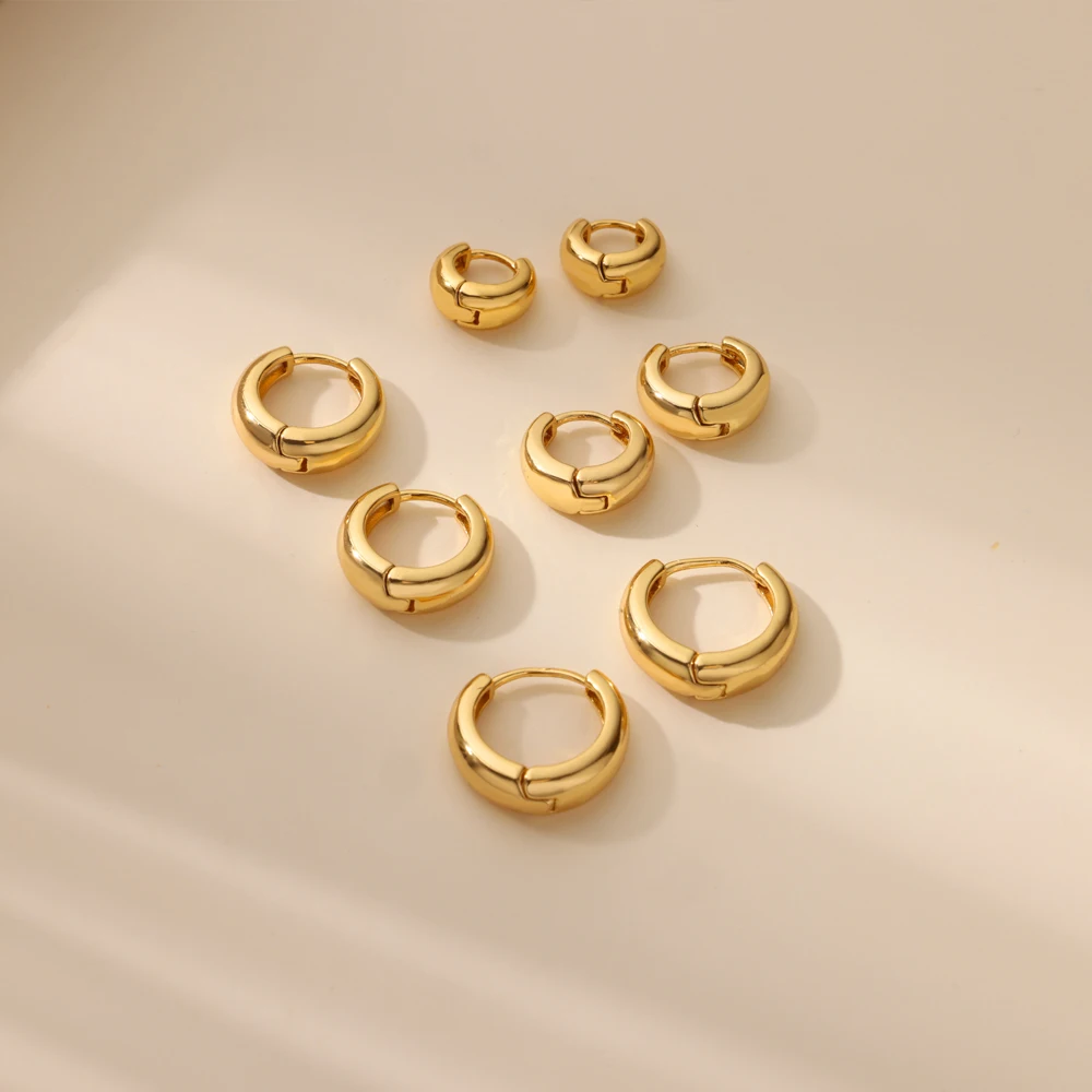 Classic Hoop Earrings for Women Chunky Stainless Steel Gold Color Earring 2025 Trend New in Minimalist Pendientes Jewelry aretes Classic Hoop Earrings for Women Chunky Stainless Steel Gold Color Earring 2025 Trend New in Minimalist Pendientes Jewelry aretes