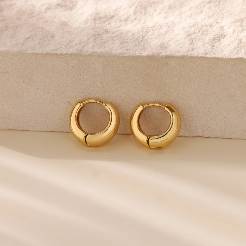 Classic Hoop Earrings for Women Chunky Stainless Steel Gold Color Earring 2025 Trend New in Minimalist Pendientes Jewelry aretes Classic Hoop Earrings for Women Chunky Stainless Steel Gold Color Earring 2025 Trend New in Minimalist Pendientes Jewelry aretes